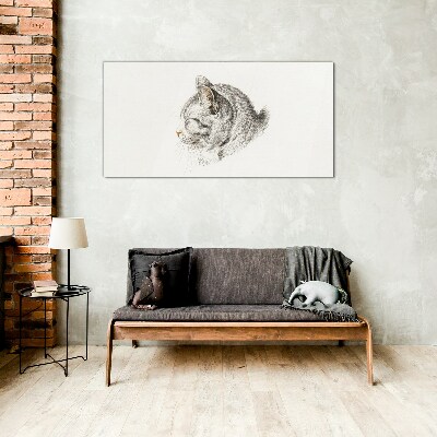 Tableau en verre Portrait d'un chat gris sur fond blanc