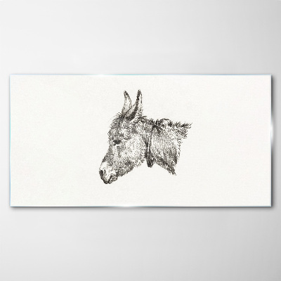 Tableau sur verre Portrait d'un âne dans un style monochrome