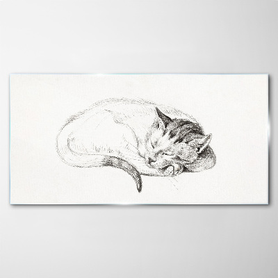 Tableau en verre Chat endormi