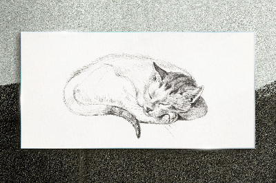 Tableau en verre Chat endormi
