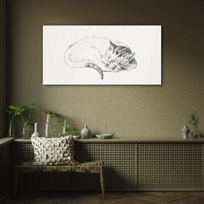 Tableau en verre Chat endormi