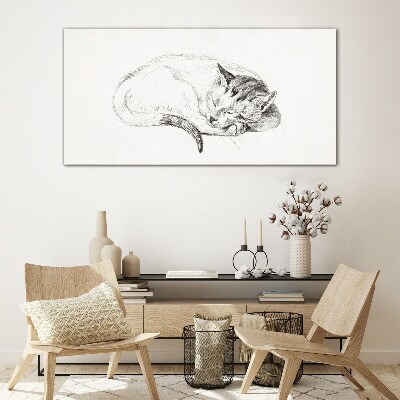 Tableau en verre Chat endormi