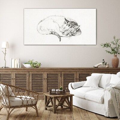 Tableau en verre Chat endormi