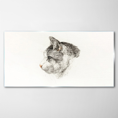 Tableau imprimé sur verre Portrait d'un chat sur fond blanc