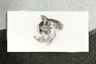 Tableau imprimé sur verre Portrait d'un chat sur fond blanc