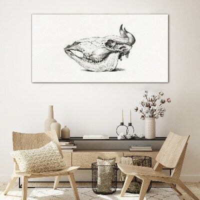 Tableau verre imprimé Crâne d'animal