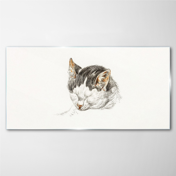Tableau verre imprimé Le rêve du chat