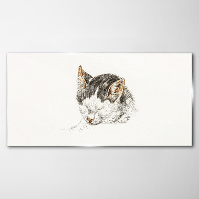 Tableau verre imprimé Le rêve du chat