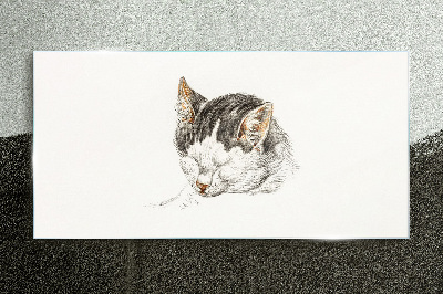 Tableau verre imprimé Le rêve du chat
