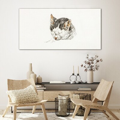 Tableau verre imprimé Le rêve du chat