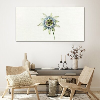 Tableau photo sur verre Fleur de la passion sur fond blanc