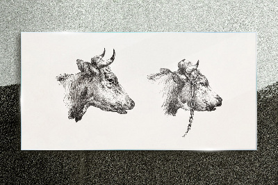 Tableau en verre Portrait de deux vaches