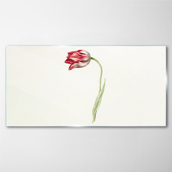 Tableau sur verre Tulipe aux nuances délicates