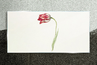 Tableau sur verre Tulipe aux nuances délicates
