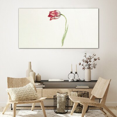 Tableau sur verre Tulipe aux nuances délicates