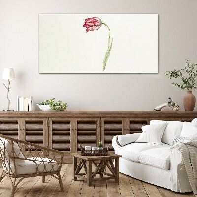 Tableau sur verre Tulipe aux nuances délicates