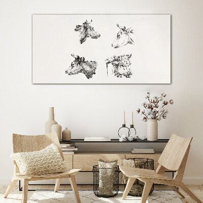 Tableau photo sur verre Portrait noir et blanc de bétail