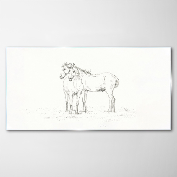 Tableau photo sur verre La proximité des chevaux à l'ombre