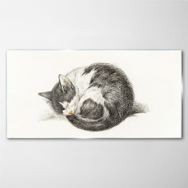 Tableau sur verre Le rêve d'un chat aux nuances monochromes