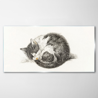 Tableau sur verre Le rêve d'un chat aux nuances monochromes