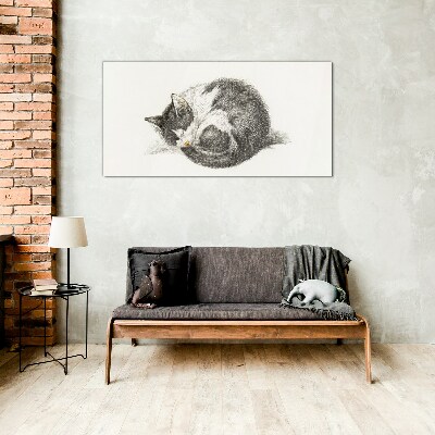 Tableau sur verre Le rêve d'un chat aux nuances monochromes
