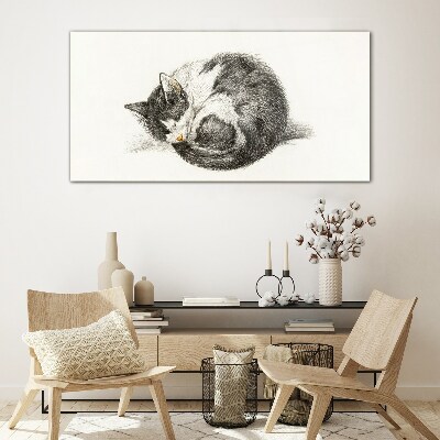 Tableau sur verre Le rêve d'un chat aux nuances monochromes