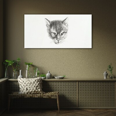 Tableau photo sur verre Portrait d'un chat en nuances de gris