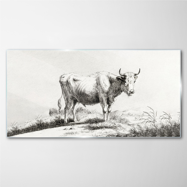 Tableau verre imprimé Vache noire dans le pâturage