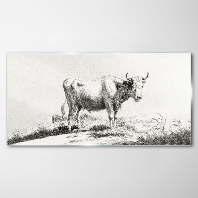 Tableau verre imprimé Vache noire dans le pâturage
