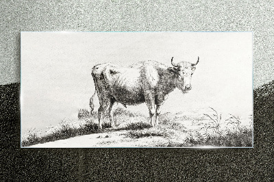 Tableau verre imprimé Vache noire dans le pâturage