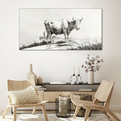 Tableau verre imprimé Vache noire dans le pâturage