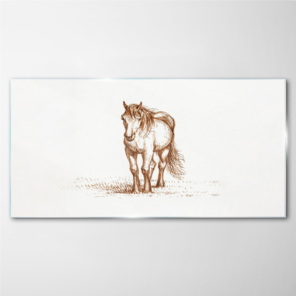Tableau photo sur verre Un cheval dans le pré