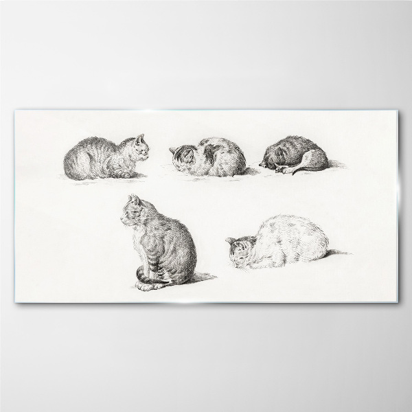 Tableau verre imprimé Différentes attitudes des chats