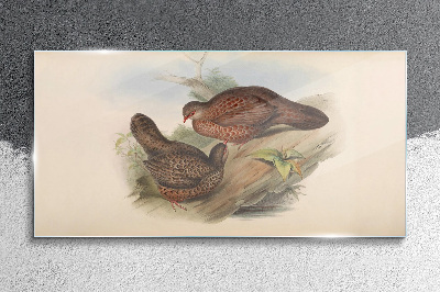 Tableau verre imprimé Deux oiseaux sur une branche
