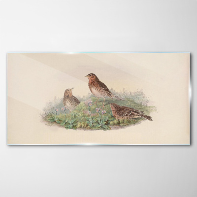 Tableau photo sur verre Oiseaux sur fond de fleurs