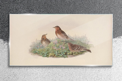 Tableau photo sur verre Oiseaux sur fond de fleurs