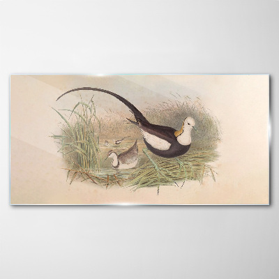 Tableau en verre Oiseaux dans l'herbe