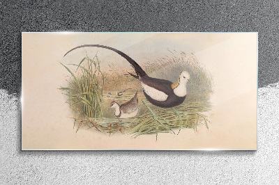 Tableau en verre Oiseaux dans l'herbe
