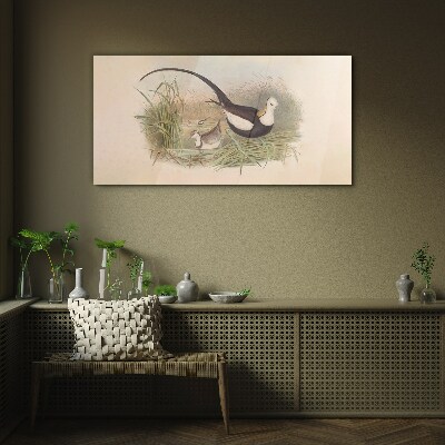 Tableau en verre Oiseaux dans l'herbe
