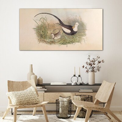 Tableau en verre Oiseaux dans l'herbe