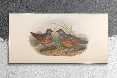 Tableau sur verre Une rencontre ailée dans l'herbe