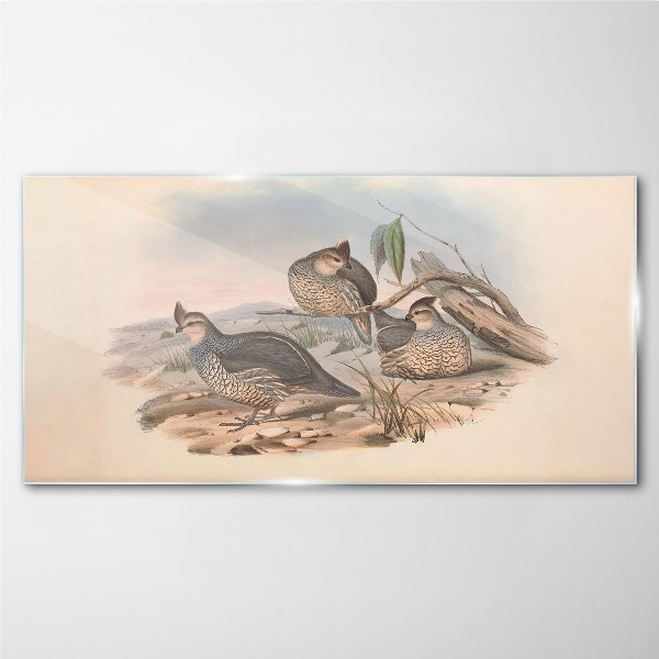 Tableau photo sur verre Vie paisible des oiseaux sur la plage