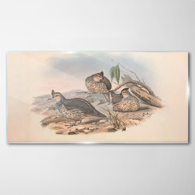 Tableau photo sur verre Vie paisible des oiseaux sur la plage