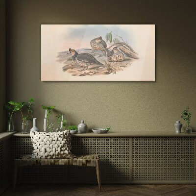 Tableau photo sur verre Vie paisible des oiseaux sur la plage