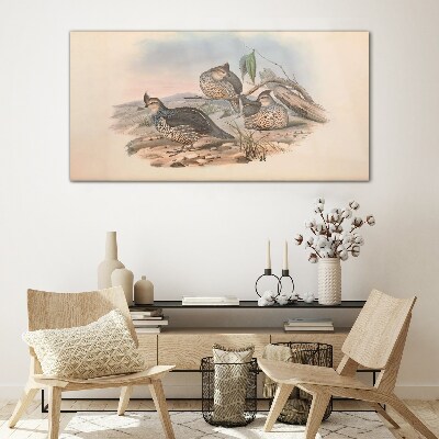 Tableau photo sur verre Vie paisible des oiseaux sur la plage