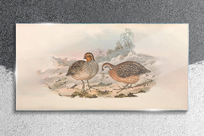 Tableau sur verre Un couple d'oiseaux sur un fond délicat