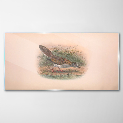 Tableau imprimé sur verre Un oiseau au-dessus de l'eau