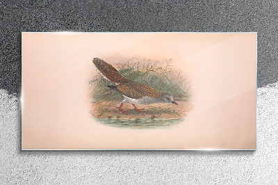 Tableau imprimé sur verre Un oiseau au-dessus de l'eau
