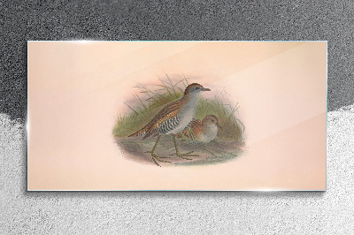 Tableau verre imprimé Oiseaux dans l'herbe