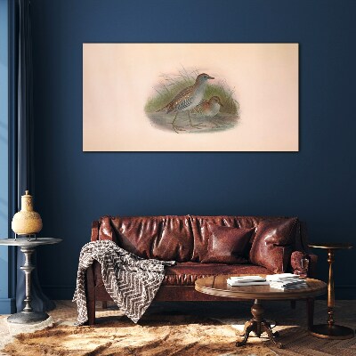 Tableau verre imprimé Oiseaux dans l'herbe